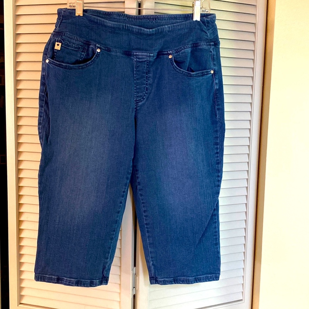 Denim Skimmer “Belle by Kim Gravel” size 14 gently worn from smoke free home